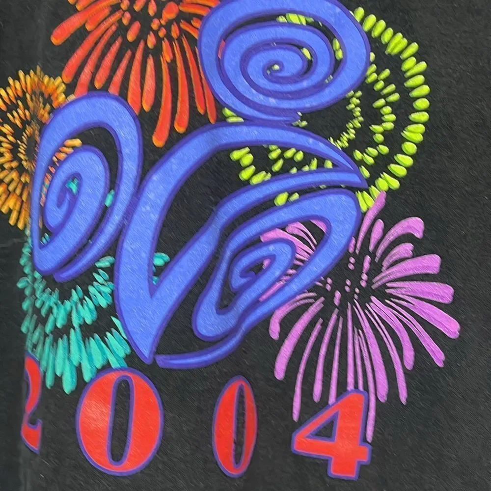Vintage Walt Disney World, long sleeve T-shirt, 2004 size medium
